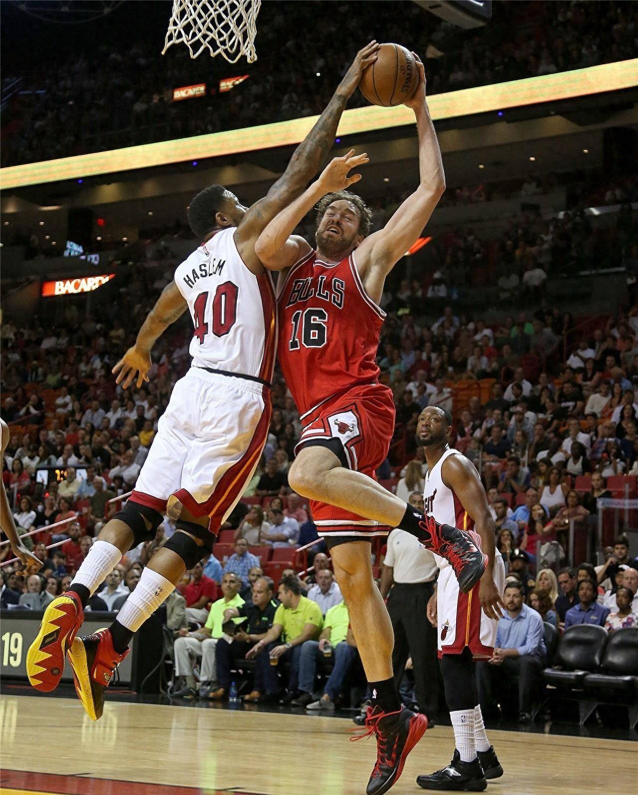 不懈追求的 不懈追求的