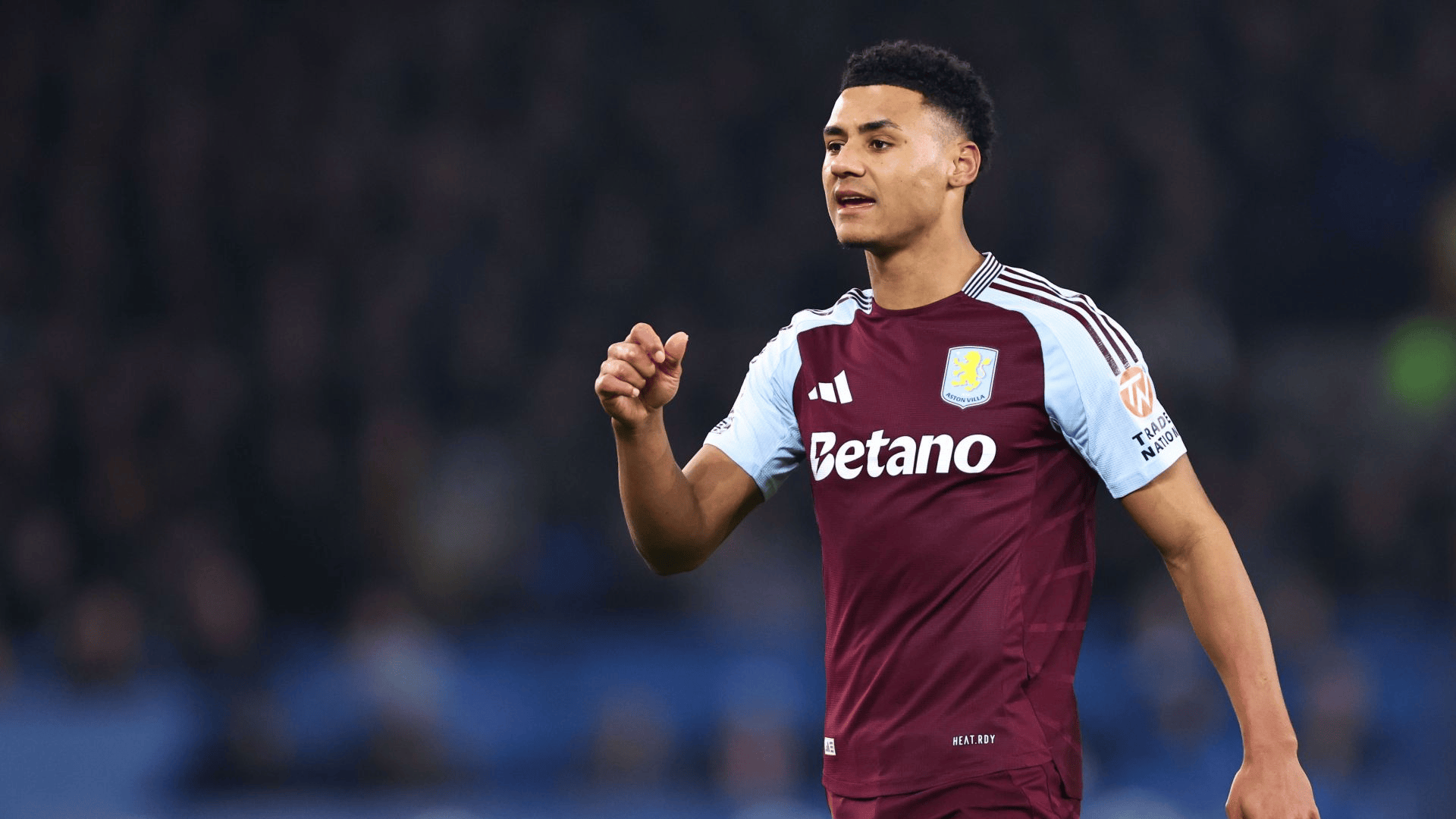 并在选人阶 并在选人阶